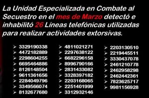 WhatsApp Image 2025-04-02 at 09.37.35