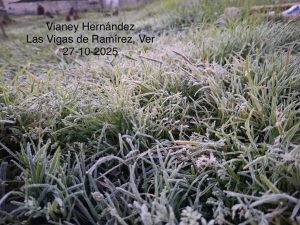 WhatsApp Image 2025-10-27 at 09.12.20