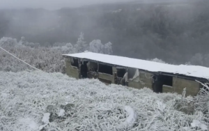 Captura de pantalla 2025-11-03 a la(s) 12.55.07 p.m.