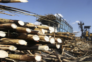 Captura de pantalla 2025-11-12 a las 11.51.31