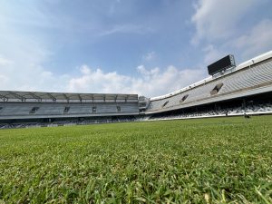 WhatsApp Image 2025-11-11 at 13.25.10